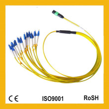 MPO-LC Fanout 12 Cores 2.0mm Cable de fibra óptica